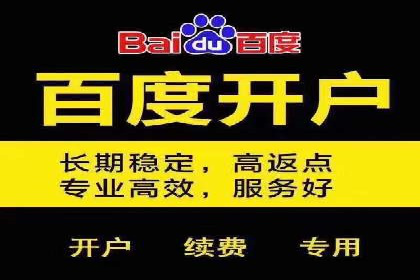 百度推广成功案例解析：品牌知名度飙升